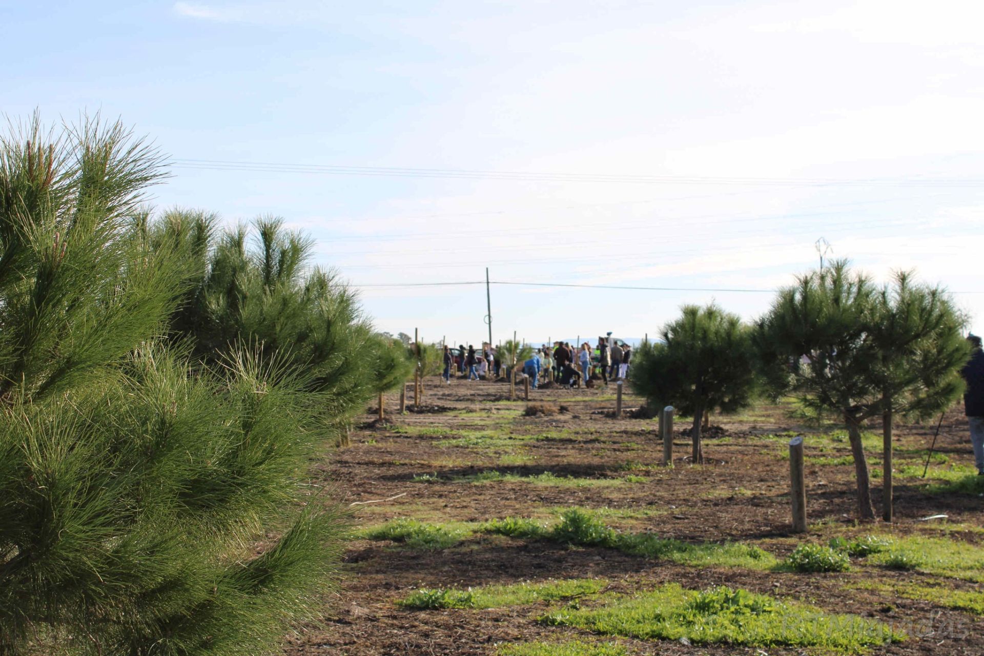 Fotos: Pequeños vecinos participan en 'Crece conmigo'