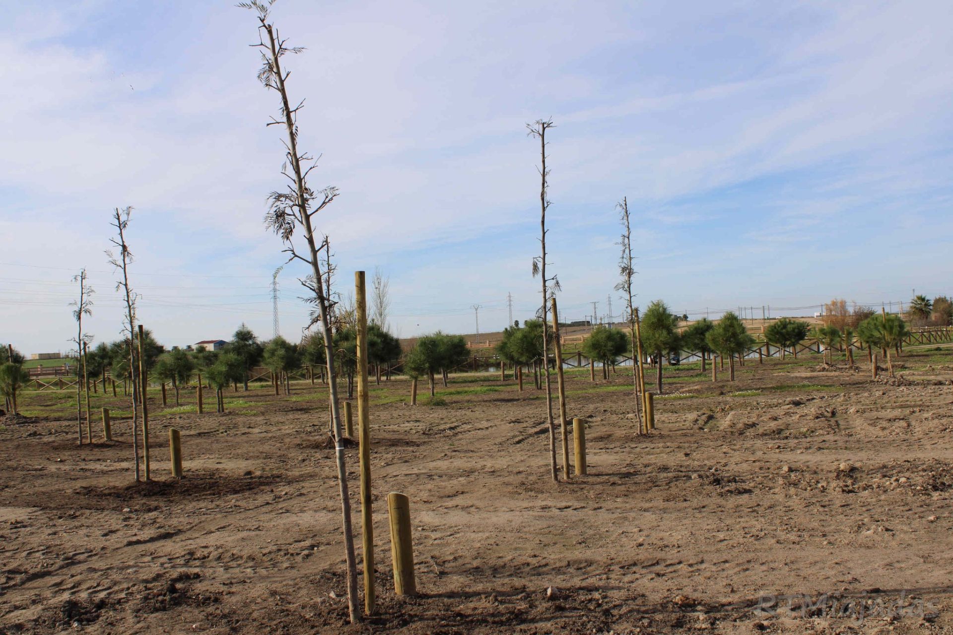Fotos: Pequeños vecinos participan en 'Crece conmigo'