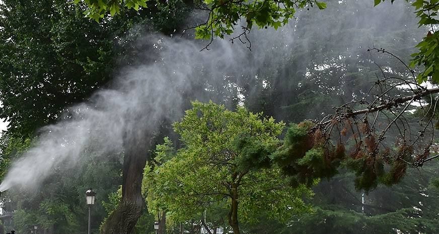 Arranca la aplicación del programa de control de mosquitos en Miajadas y pedanías