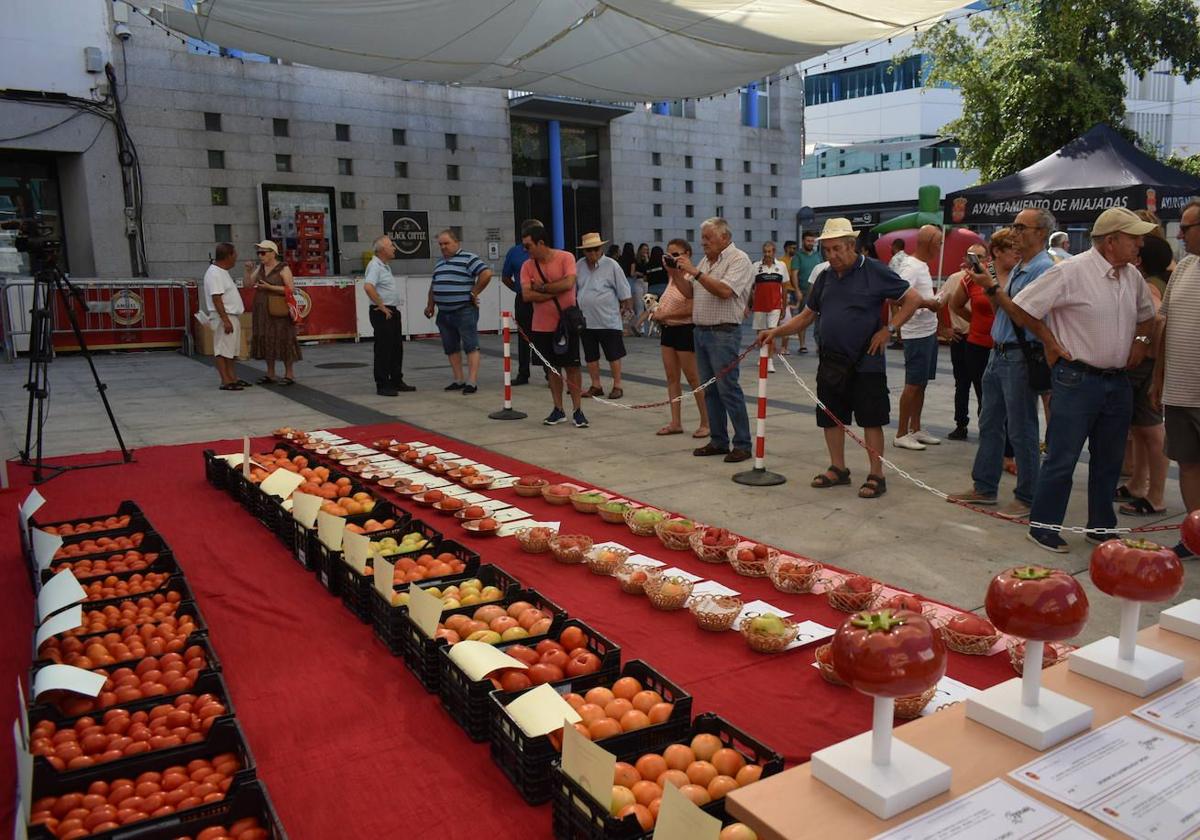 Archivo. Concurso del pasado verano 2024.