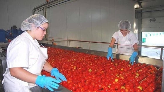 La industria de las renovables, una promesa de progreso en Extremadura