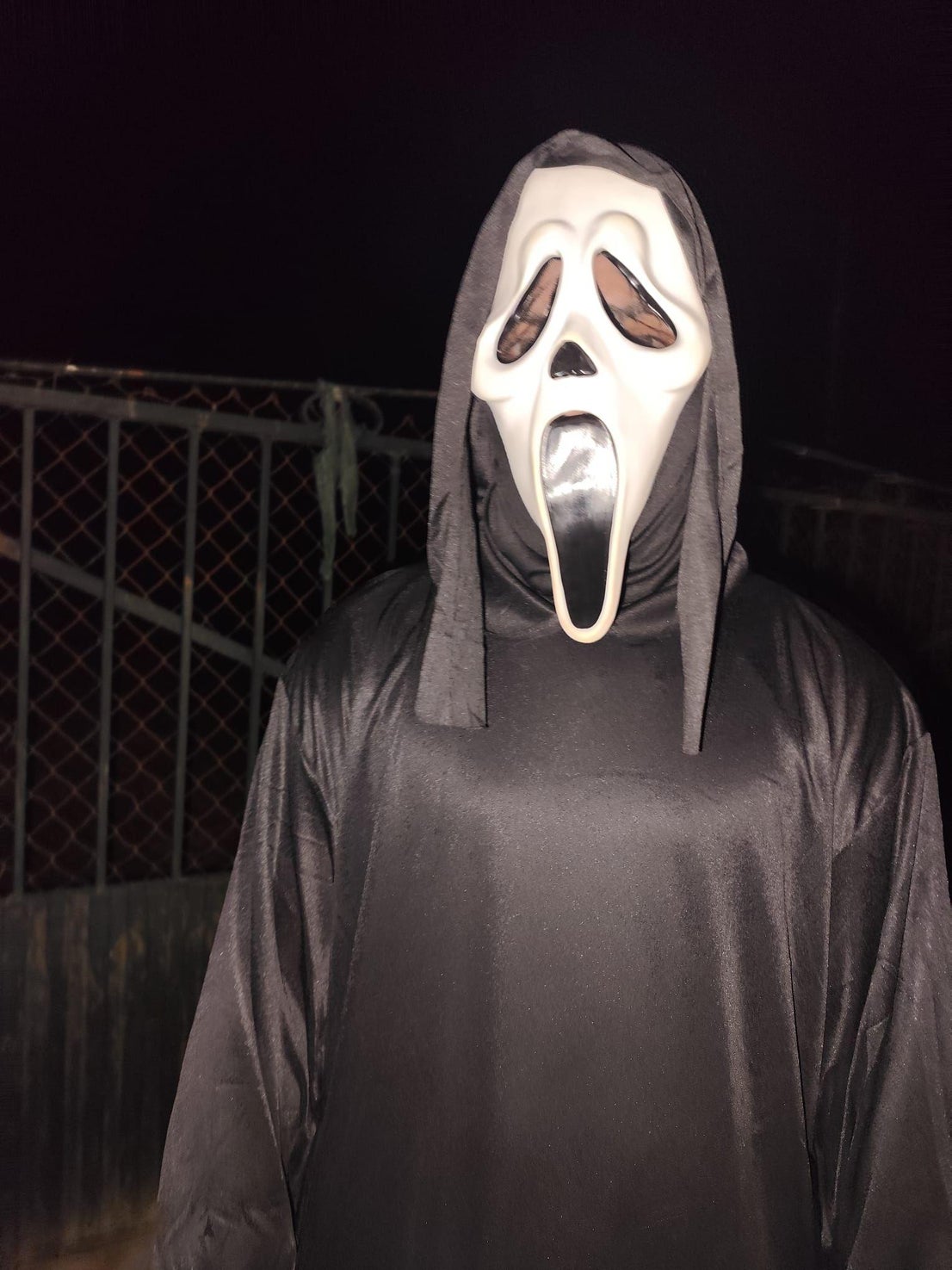 '…Camino hacia el horror…'