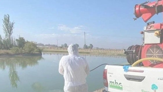 Miajadas planta cara a las plagas con un plan de choque simultáneo contra cucarachas y el Virus del Nilo