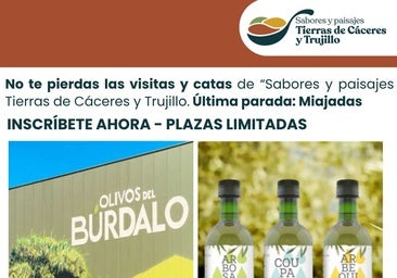 Miajadas cierra el ciclo 'Sabores y paisajes Tierras de Cáceres y Trujillo' con una visita y cata en Olivos del Búrdalo
