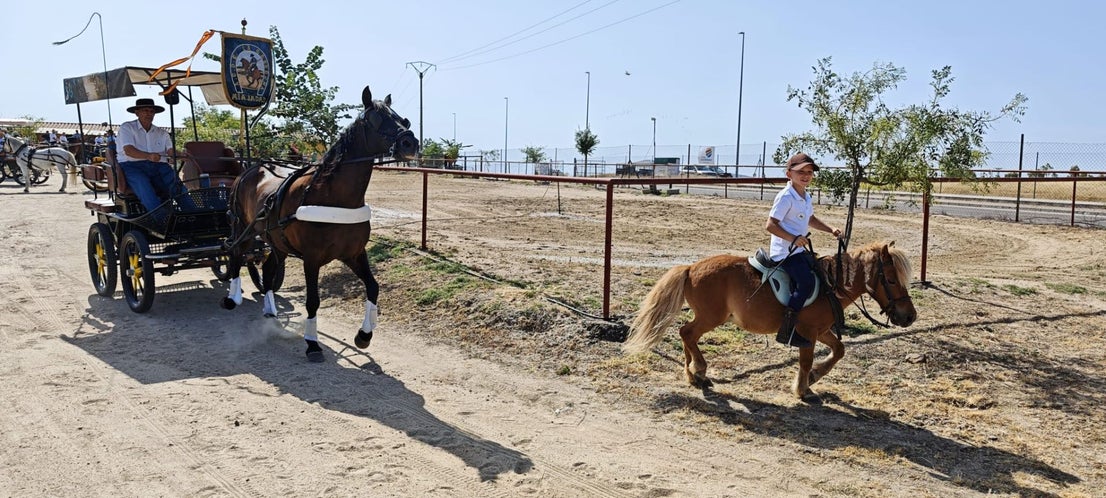 Miajadas celebra el 20º aniversario de su emblemática Concentración Ecuestre