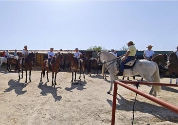 Miajadas celebra el 20º aniversario de su emblemática Concentración Ecuestre