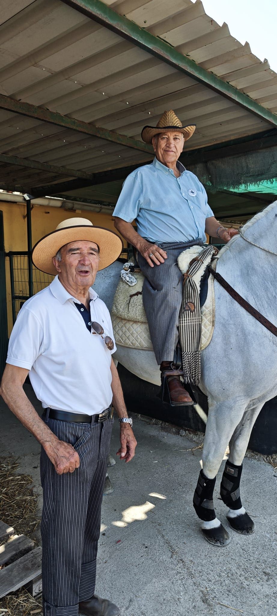 Miajadas celebra el 20º aniversario de su emblemática Concentración Ecuestre
