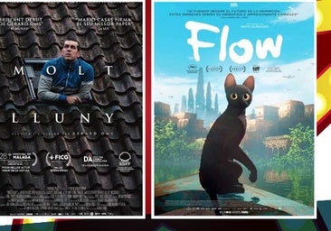 El Cine de Verano regresa este fin de semana al Palacio Obispo Solís con 'Muy lejos' y 'Flow'