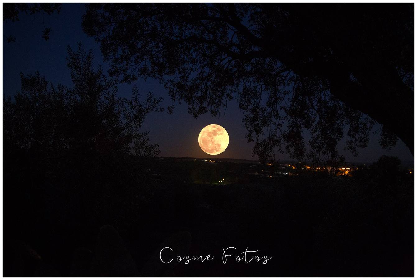 Una de las fotos realizadas desde el campo. 