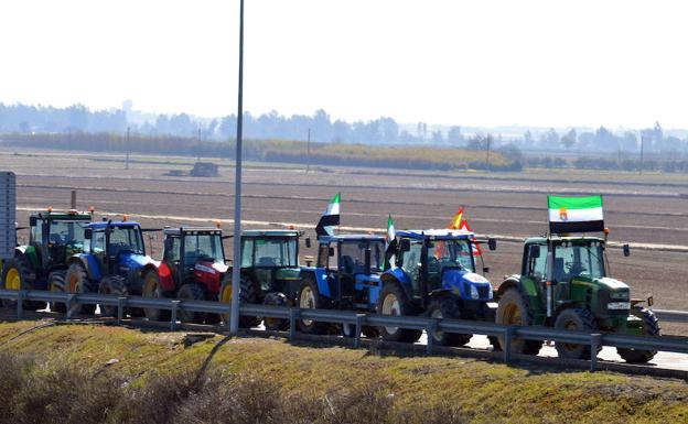 Fila de tractores aparcados ayer en una de las carreteras de acceso a la rotonda de la autovía regional. 