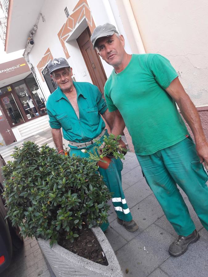 Dos jardineros plantando los viveros en la avenida de Trujillo. 