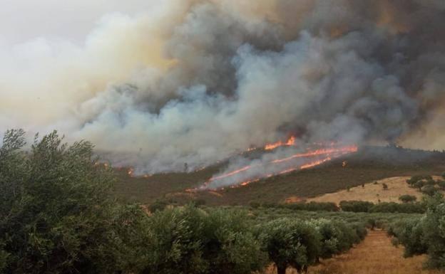 Image de archivo de un incendio. 