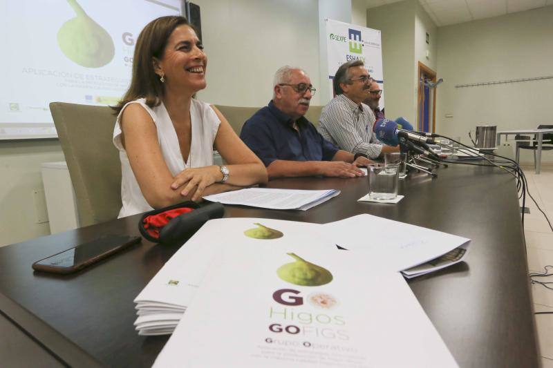 Carmen González, de Cicytex, Alberto Cruz, de Adismonta, y Antonio Cabezas, de la Junta. 