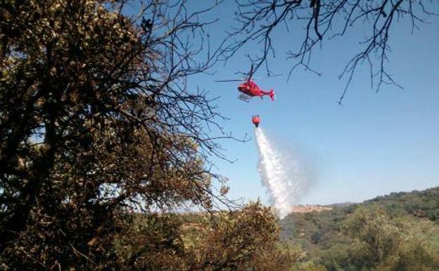Efectivos durante la extinción de un incendio cerca en Monesterio 