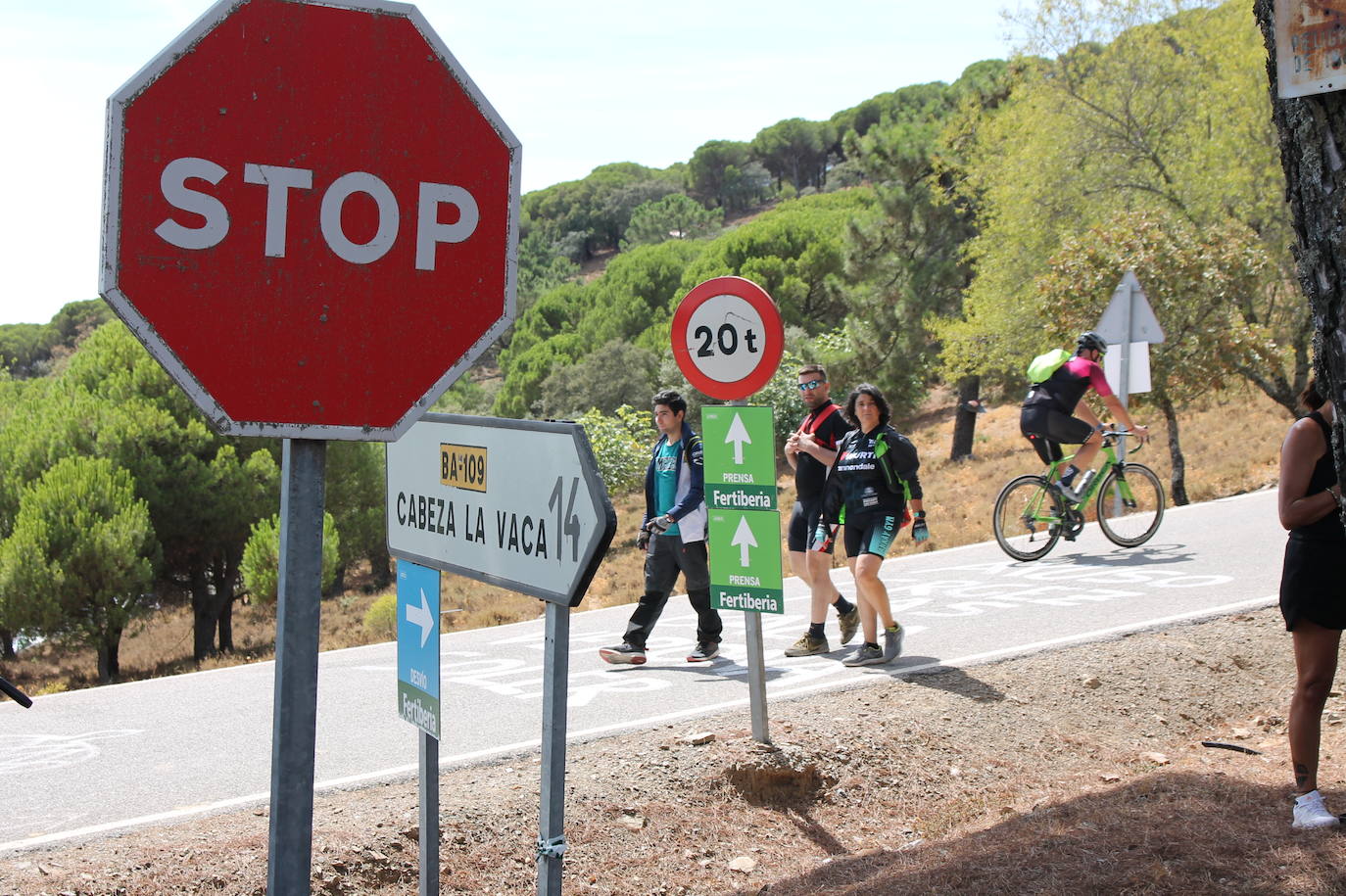 Ambiente en la subida a Tentudía