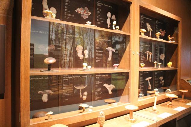 Es el primero de la región de estas características 