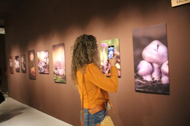 Es el primero de la región de estas características 