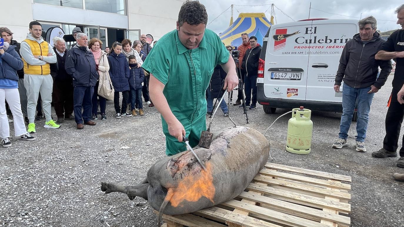 La XXII Matanza Tradicional del Cerdo Ibérico de Monesterio, en imágenes