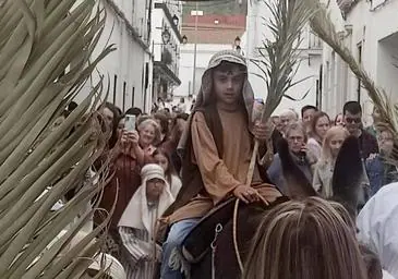 Uno de los niños, a lomos de un burro recreó la entrada triunfante de Jesús en Jerusalén entre palmas y olivos