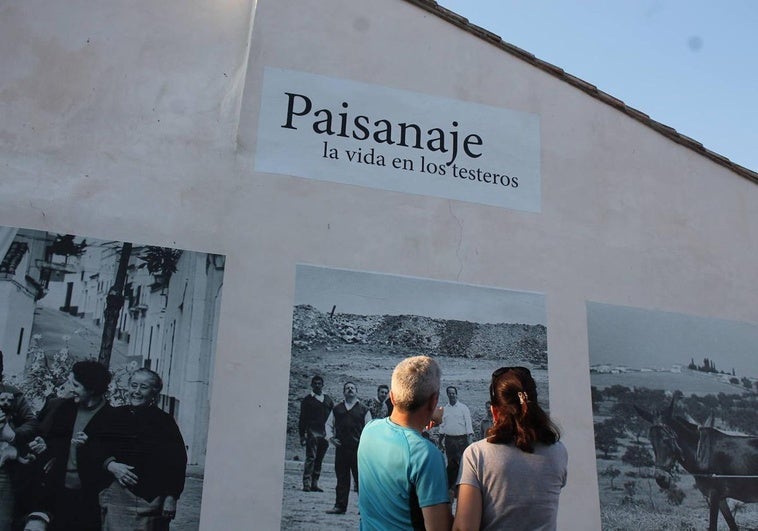 Una pareja observa las fotografías de la exposición al aire libre en Monesterio