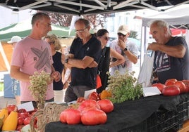 LVecinos y visitantes se interesan por los tomates de uno de los puestos instalados