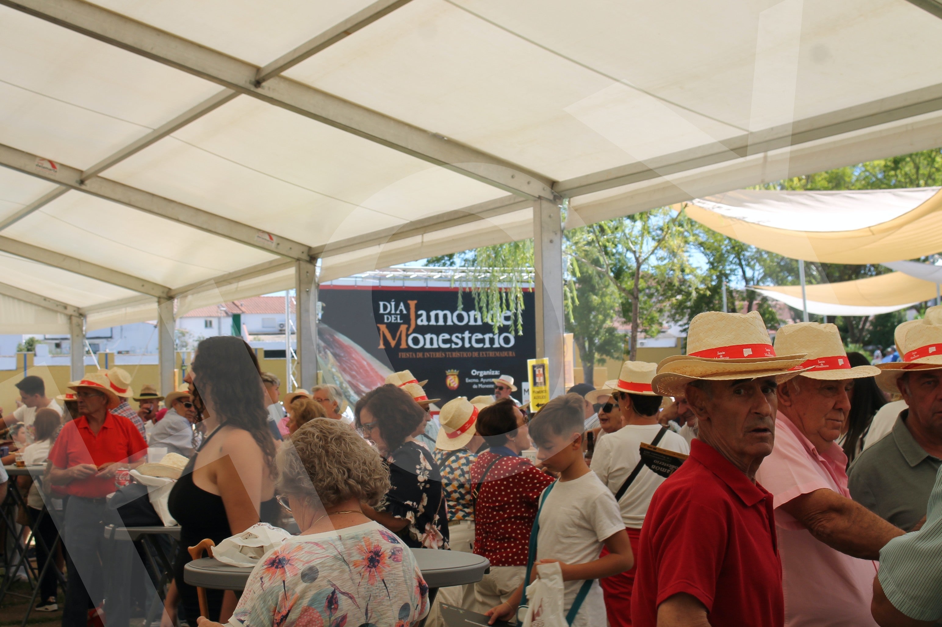 Las mejores imágenes del Día del Jamón de Monesterio