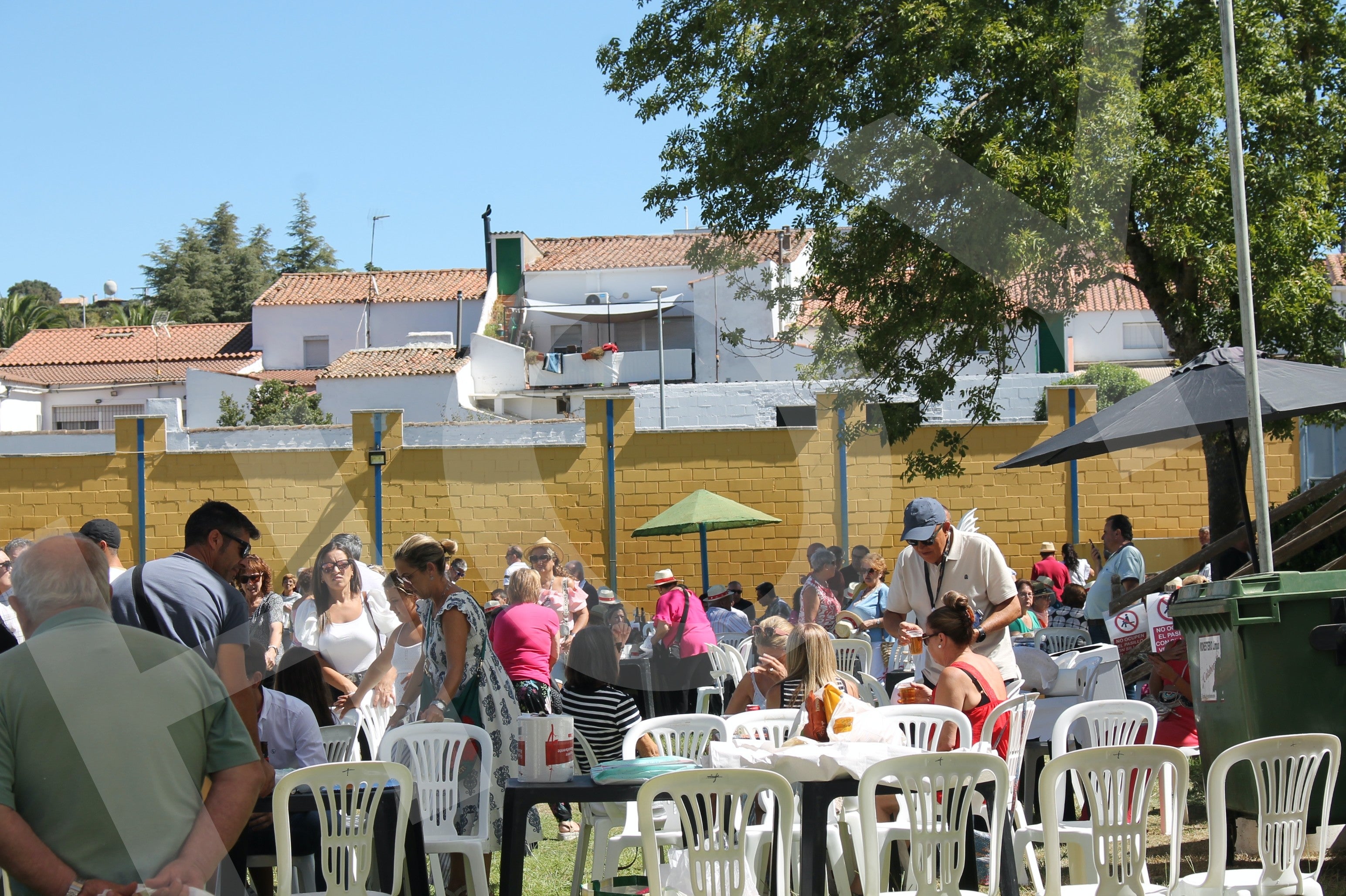 Las mejores imágenes del Día del Jamón de Monesterio