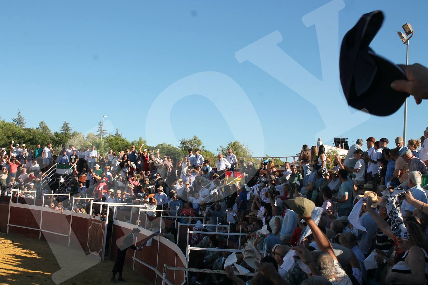 El Festejo Taurino de Monesterio homenaje a Eulalio Murillo, en imágenes