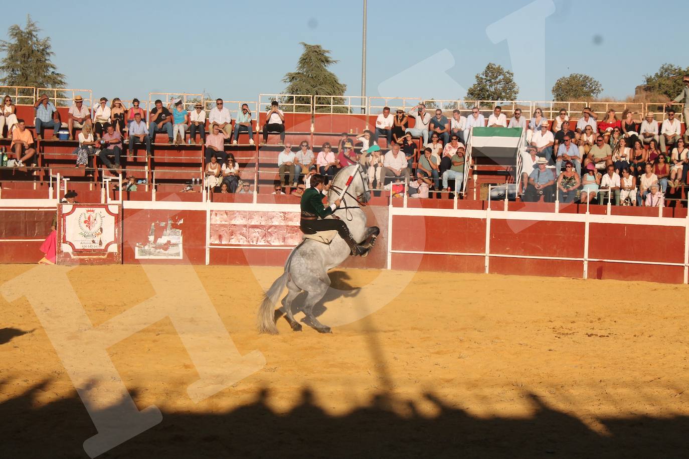 El Festejo Taurino de Monesterio homenaje a Eulalio Murillo, en imágenes