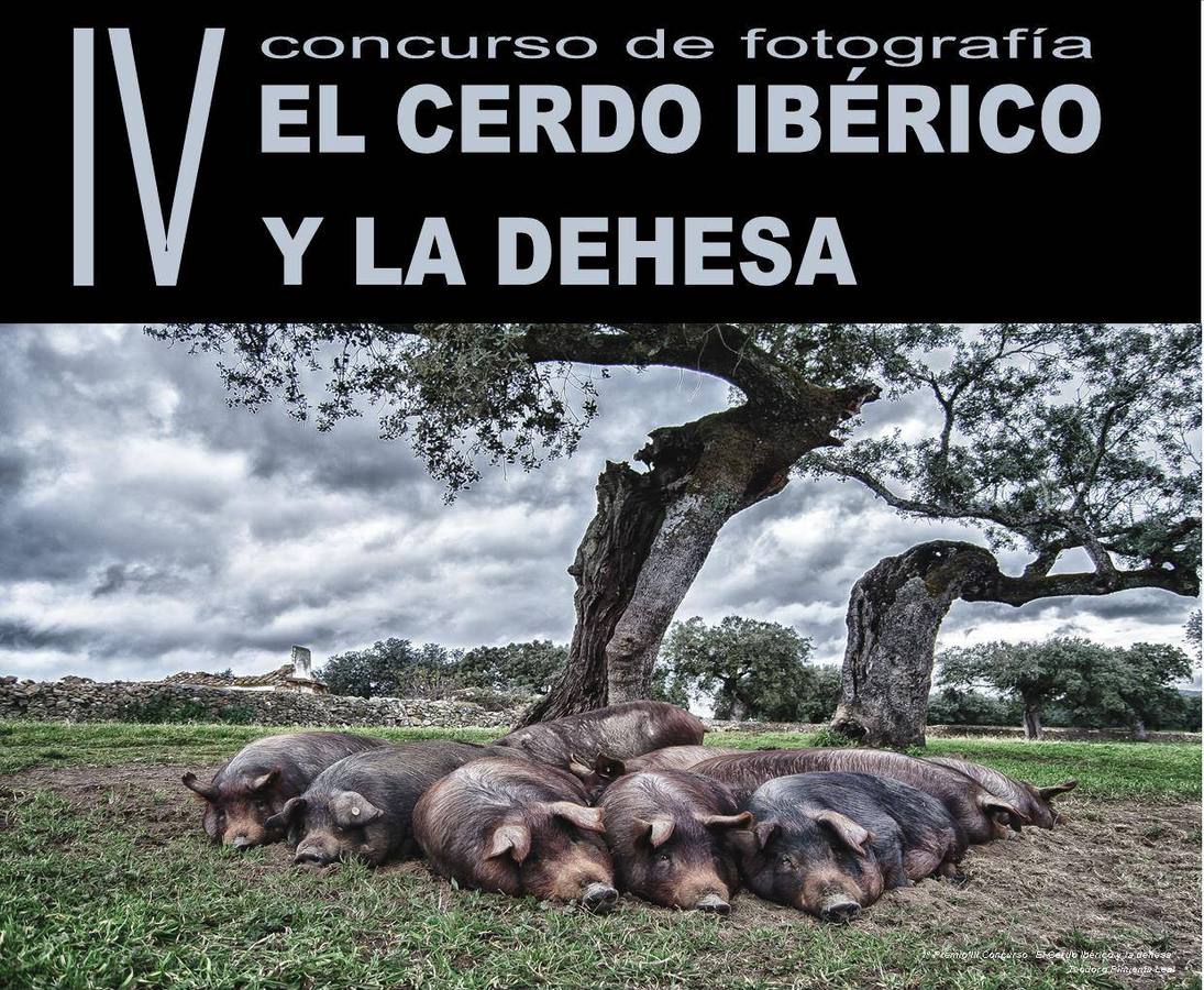 Cartel de la actividad 