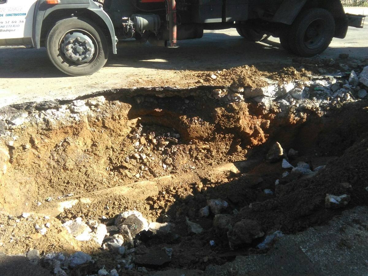  Una de las obras en la red 