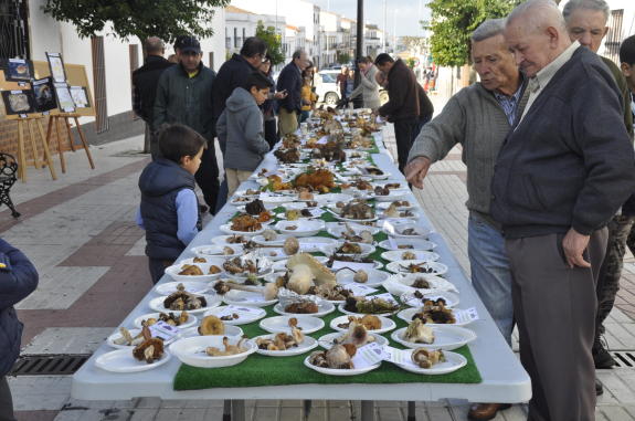 Exposición de las variedades recogidas durante las 'Jornadas Micológicas' el pasado año 