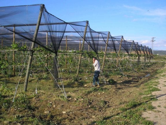 Agricultor extremeño 
