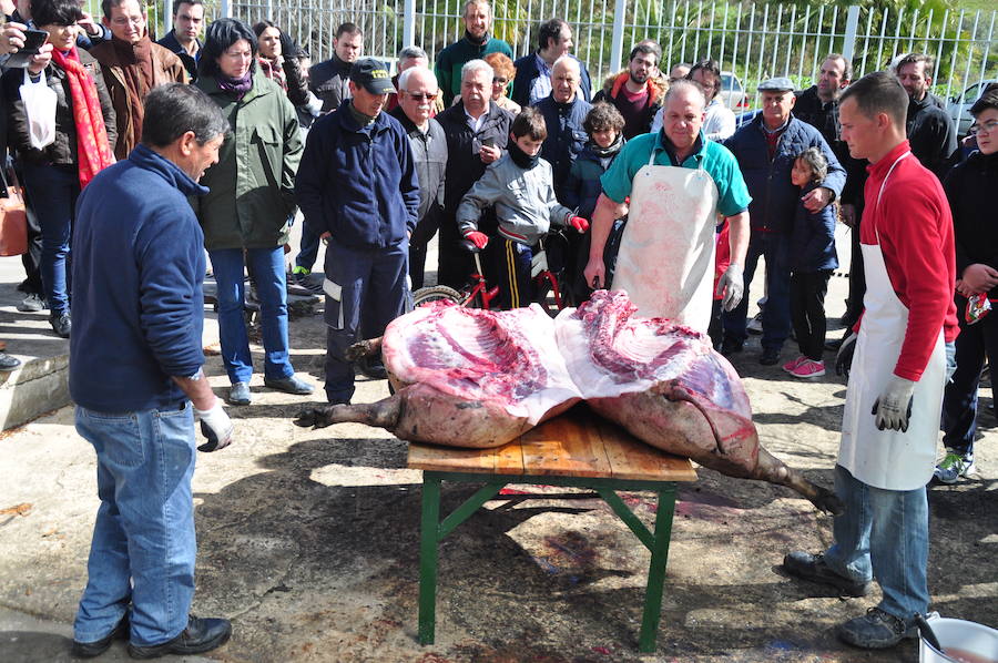 Despiece de un cerdo ibérico 