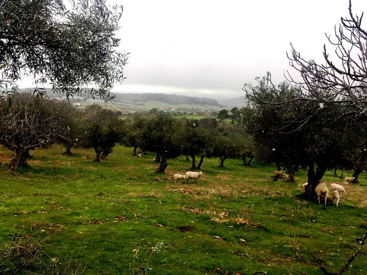 La nieve se dejó ver por última vez en el municpio el pasado 13 de marzo 