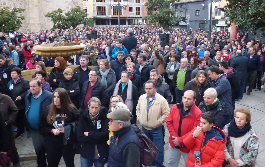 Los vecinos de Navalmoral y de buena parte de los municipios del Campo Arañuelo se echaron el jueves a la calle para pedir la continuidad de su principal motor económico, la central nuclear de Almaraz, en una concentración promovida por la Plataforma Ciudadana Vida que reunió entre 4.000 y 4.500 personas, según estimaciones de la Policía Local.