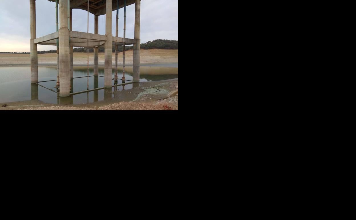 La sequía de la presa de Valdecañas deja sin agua a 800 regantes en Peraleda de la Mata