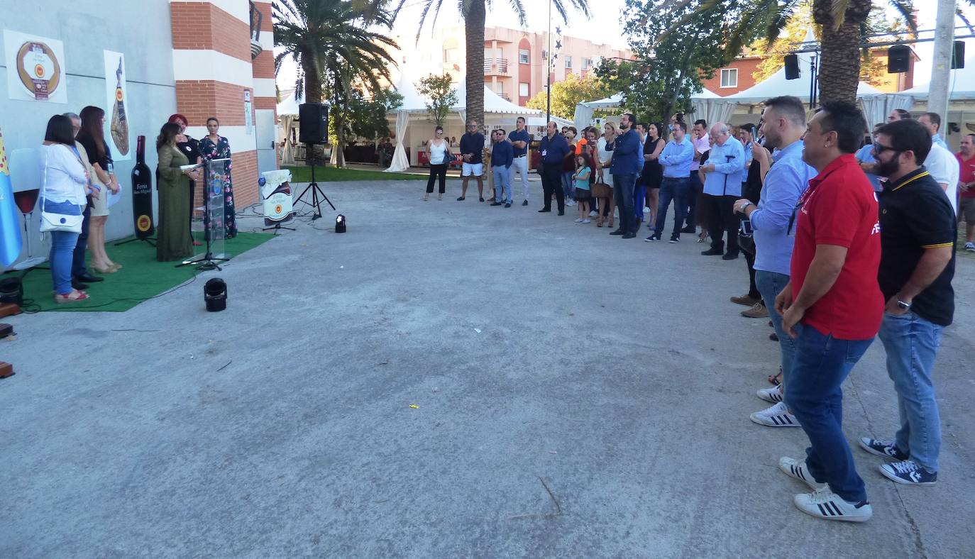 Mucho calor y mucho público en la calle, en las plazas, en bares y en terrazas y en la mayoría de las actividades realizadas. Así se podrían resumir, a grandes rasgos, las fiestas de San Miguel, aunque lógicamente cada uno hará su propio balance en función de lo que haya disfrutado. Porque también hay quien se queja del exceso de ruidos, de la acumulación de basuras y de la falta de civismo. Repasamos las fiestas en casi 30 fotografías, aunque podrían ser muchas más.