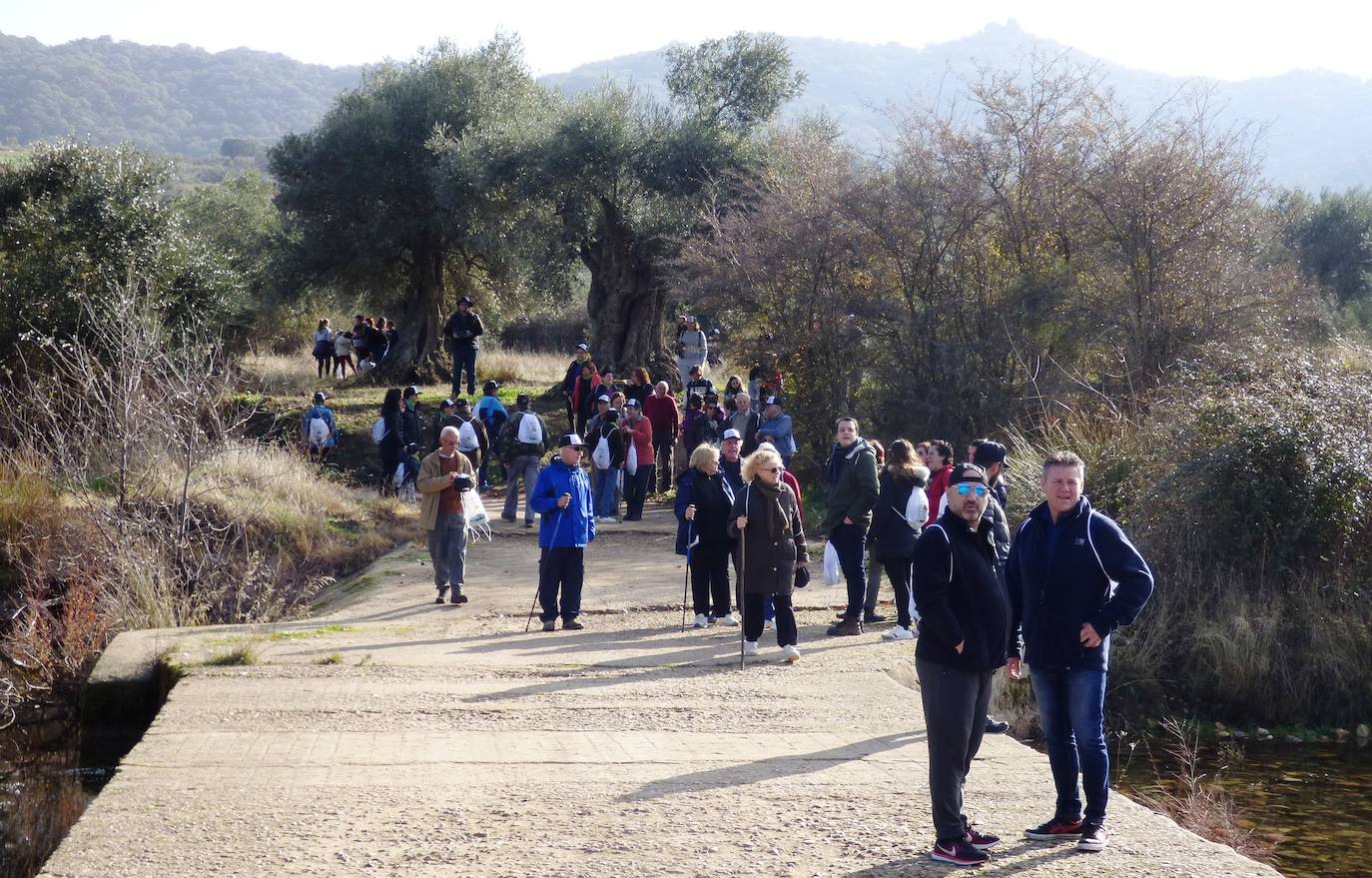 Fotos: Peraleda de San Román vive una jornada alrededor de la aceituna y el aceite de oliva