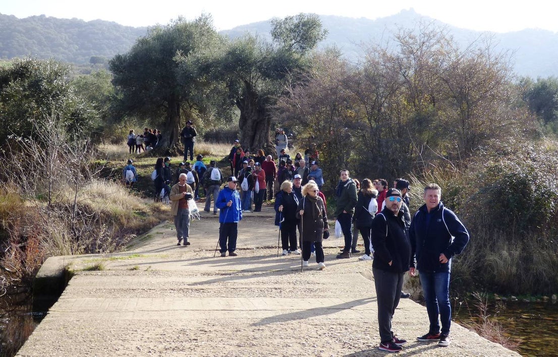 Fotos: Peraleda de San Román vive una jornada alrededor de la aceituna y el aceite de oliva