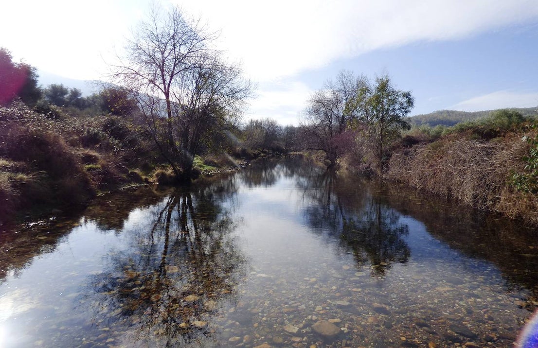 Fotos: Peraleda de San Román vive una jornada alrededor de la aceituna y el aceite de oliva