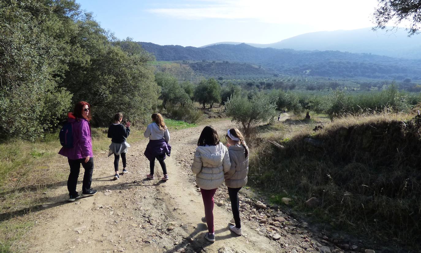 Fotos: Peraleda de San Román vive una jornada alrededor de la aceituna y el aceite de oliva
