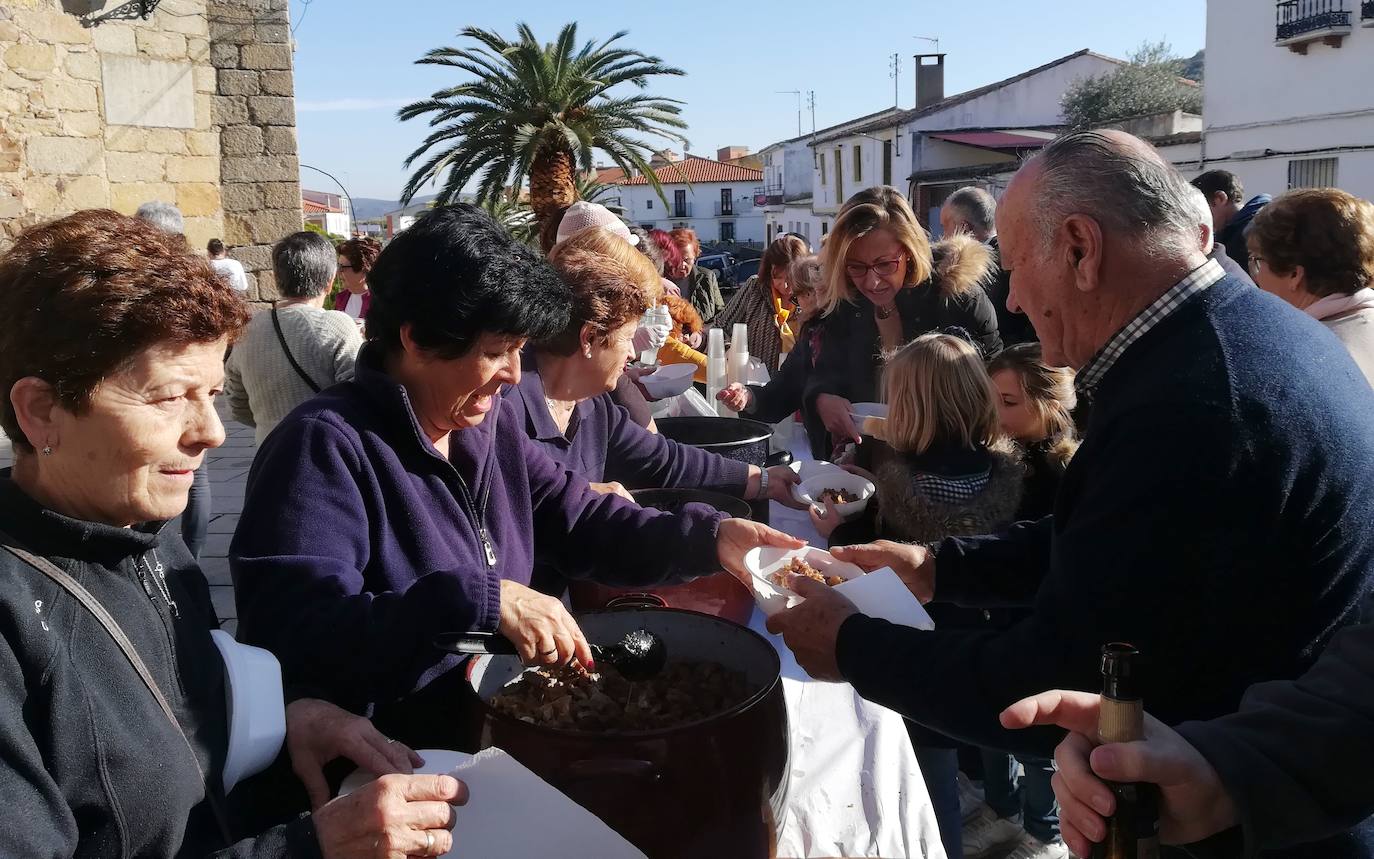 Fotos: Peraleda de San Román vive una jornada alrededor de la aceituna y el aceite de oliva