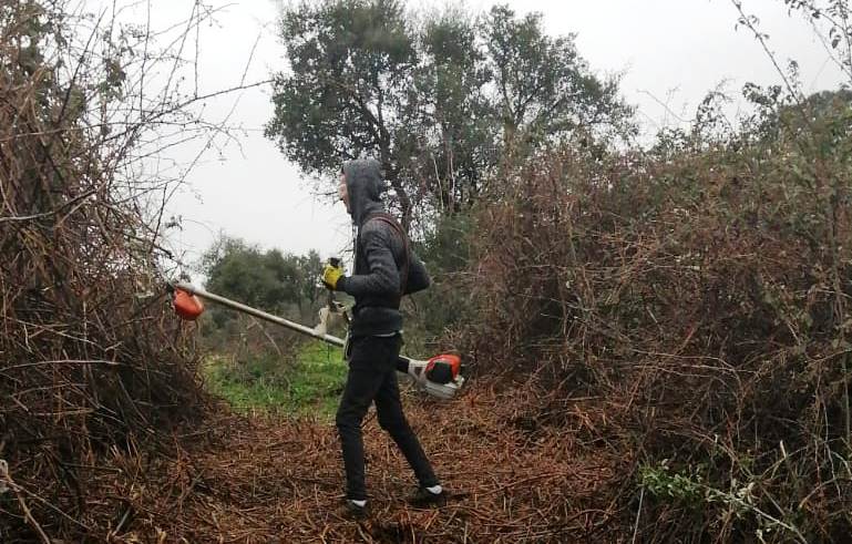 Trabajos para desbrozar el circuito 