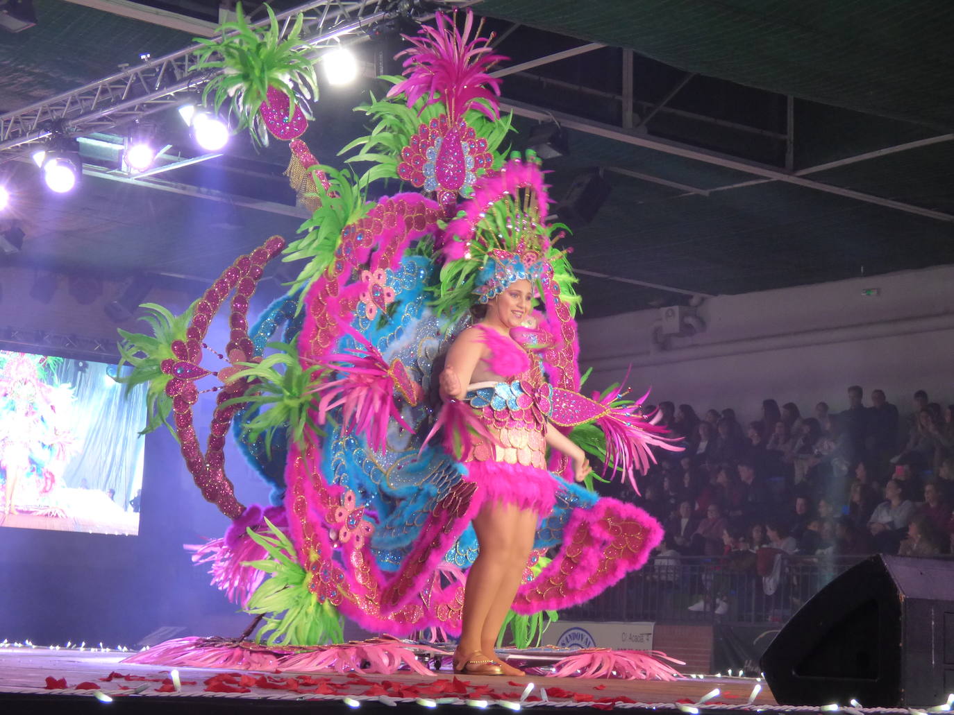 Fotos: El Carnaval ya tiene reinas