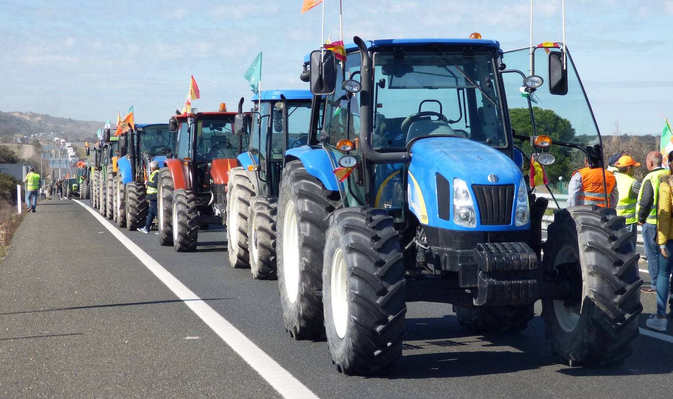 Numerosa presencia de tractores 