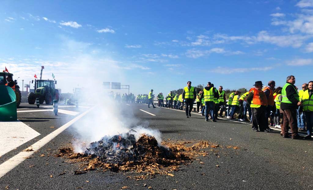 Tabaco quemado sobre el asfalto 