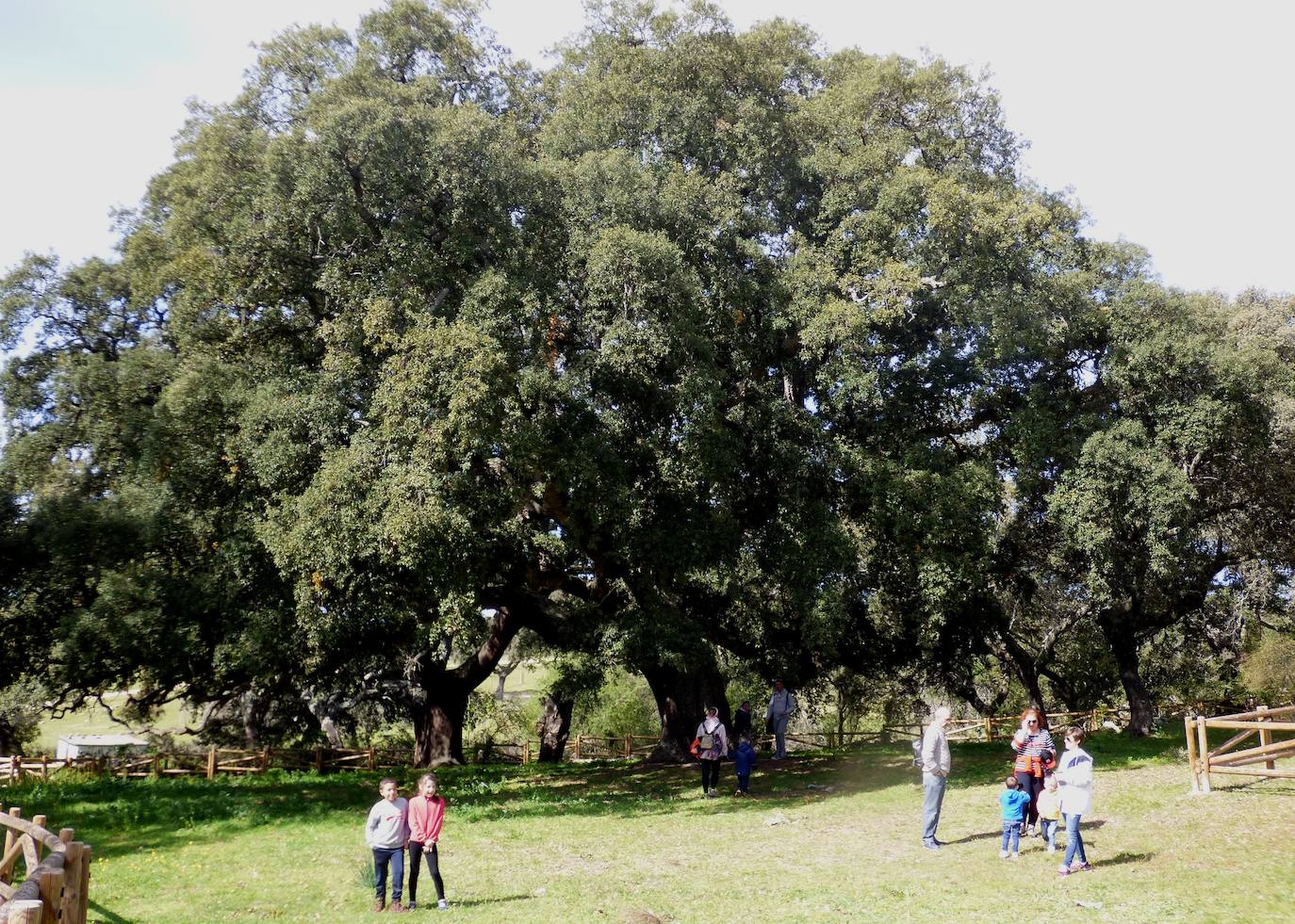 Fotos: I Convivencia de Naturaleza