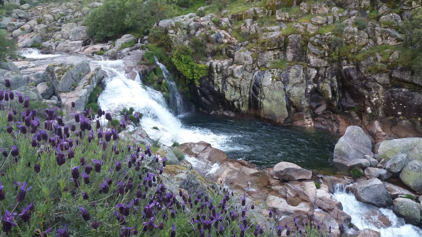 Charco del Trabuquete sin basura 