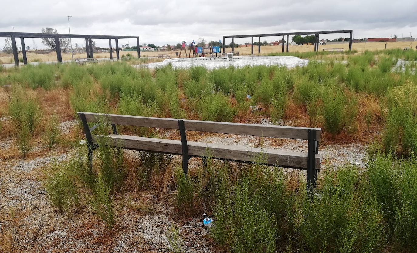 Fotos: Urbanización Los Viñazos, ¿de basurero a ferial?